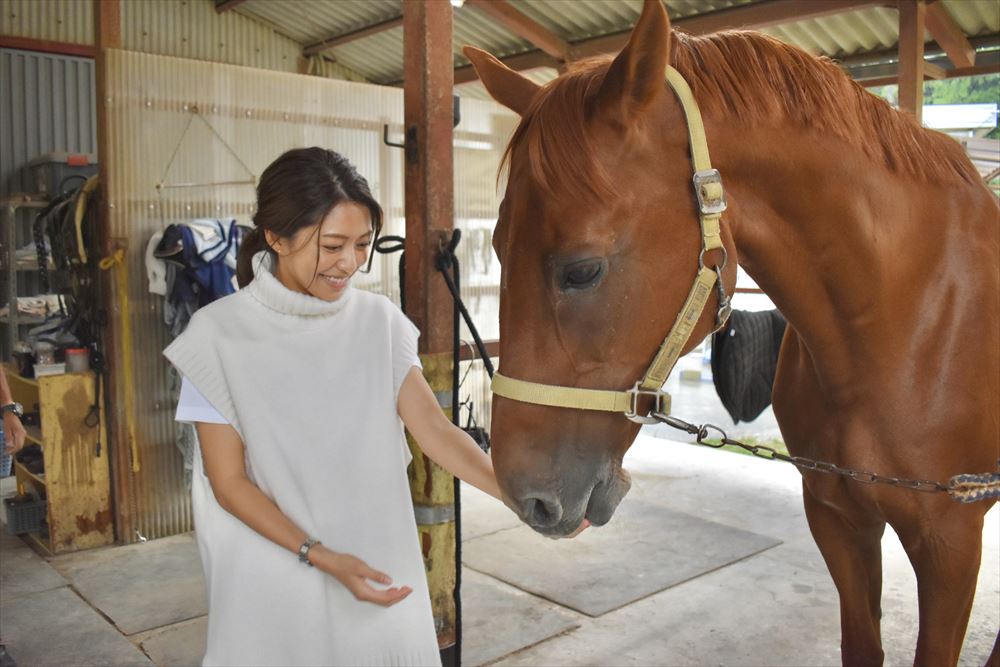 やっぱ広島じゃ割 地域観光支援分 適用プラン 餌やり ブラッシングで馬と仲を 深めよう レッスン付き乗馬体験 広島県 三原 世羅の観光情報 公式 そら みち みなと