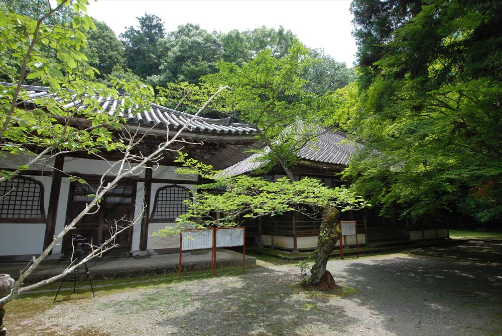 臨済宗佛通寺派大本山 佛通寺|広島県 三原・世羅の観光情報 臨済宗佛通寺派大本山 佛通寺|広島県 三原・世羅の観光情報